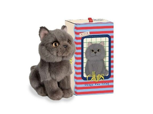 Freddy le Brittish Shorthair assis en boîte cadeau - 17 cm -